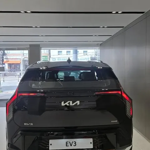 EV3 실내 계기판과 스티어링휠 · 대리 상담